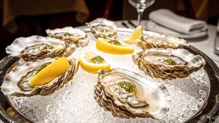 GOOD FOOD, DELICIOUS SEAFOOD, OYSTERS 9