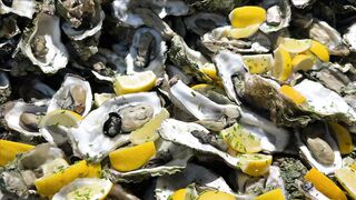 GOOD FOOD, DELICIOUS SEAFOOD, OYSTERS 10