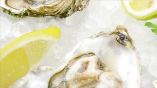 GOOD FOOD, DELICIOUS SEAFOOD, OYSTERS 11