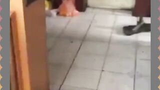 Takut tikus