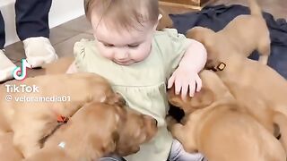 Trop mignon 2