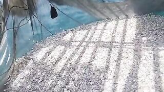 momen penangkapan ikan