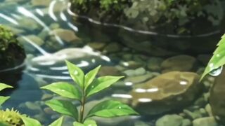Nature and cooking