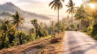 Serene Morning in the Tropical Hills
