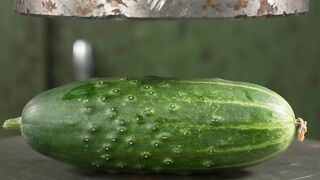 Cucumber vs hydraulic press
