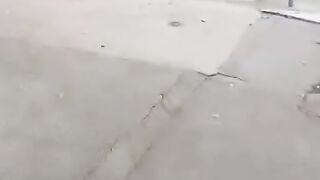 Dia dia