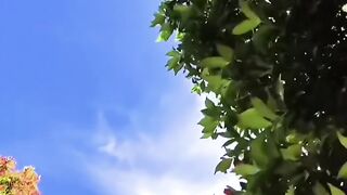 Looks up to the same sky