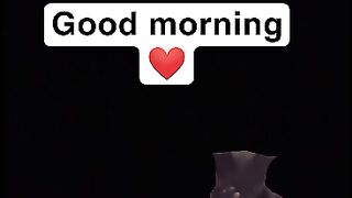 Morning vibes 6