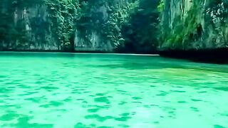 Relaxation ( Beautyful Nature)