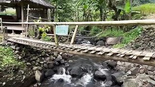 Relaxation 15