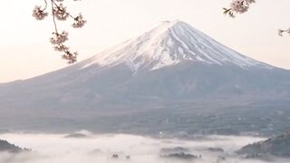 Japan in One Minute 🇯🇵 | Tokyo, Kyoto, Food & Beautiful Landscapes