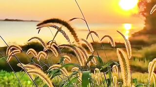 Relaxation 19