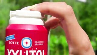Survival Skills- SMART idea and USEFUL in forest #bushcraft #camping #outdoors
