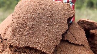 Survival Skills_ SMART idea andUSEFUL  with single mom #outdoors  # bushcrafting  #viralvideo  #fyp 1