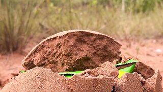 Survival Skills_ SMART idea andUSEFUL in forest #outdoors  #camping #survival #bushcraft 2