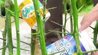 Survival Skills SMART idea and USEFUL in forest #bushcraft #camping #outdoors #survival 23
