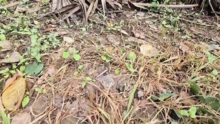 I Caught Every Exotic Wild Insects, Aggressive Centipede, Black Scorpion, Giant Millipede, Red Worms