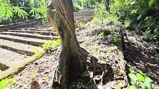 Best Catching, Searching Wild Scorpion, Giant Millipede, Snail, All Small Millipede In Wild Colony