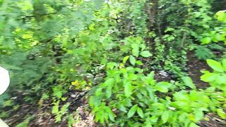 Best Catching Mountain Insects, Wild Millipede, Black Beetle, Scorpion, Red Spotted Millipede Bugs