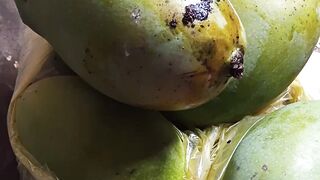 It’s mango season
