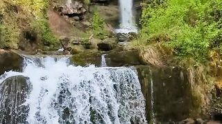 Nature’s Hidden Paradise 🌿🦜 | Waterfalls, Forest & Beautiful Birds