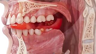 What Happens Inside Your Body When You Eat a Tomato?