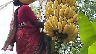 You Won't Believe This! 🤯 #funnyanimalscompilation