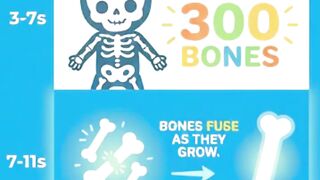 How many Bones do Babies Hav? #healthfacts, #healthtips, #healthinfo, #healtheducation, #healthyliving