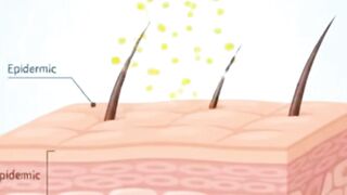 How Zinc Oxide Reflects Harmful Sun Rays Naturally? #healthfacts, #healthtips, #healthinfo, #healtheducation, #healthyliving