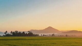 Sholawat 208