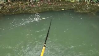 Fishing in the river for super babon fish