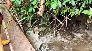 Tajur fishing results catch super big fish in the river