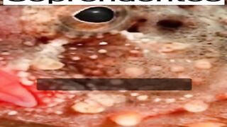 ¿Sabías que el océano guarda secretos alucinantes?