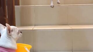 Comedy video 3 4