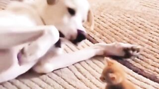So Small. And they're already best friends...