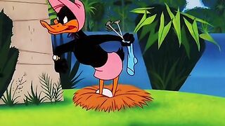 Funny videos from TikTok