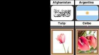 National Flower of Each Country