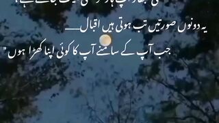 Urdu poetry short video cute.