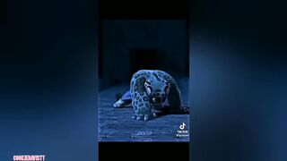 Coldest Moments Of All Time ???? TikTok Compilation ???? Sigma Moments
