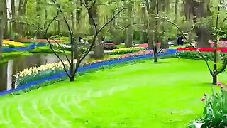 Green word
