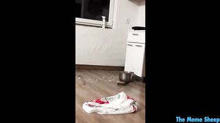 Try not to shed tears laughing