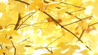 Yellow beauty