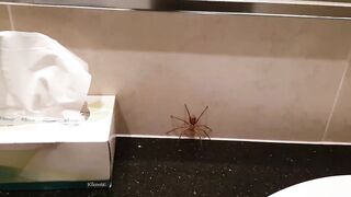 This guy has manners