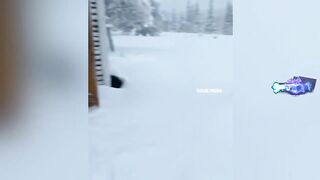 Русские приколы