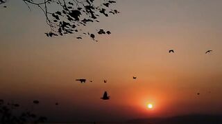 A sunset wiew