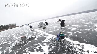ЭТА ЛУНКА ВЫДАЕТ РЫБУ! Зимняя рыбалка 2023
