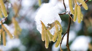 Fabi Ayyi Ala I Rabbikuma Tukazziban