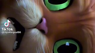 Puss in boots and dead