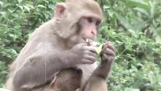 10 Most HORRIFIC Predator Animals in the Wild