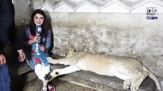 Shair Ne Anchor Iqra Abid Ko Daboch Liya | Funny Interview Khatarnaak Ban Gya | Iqra Abid